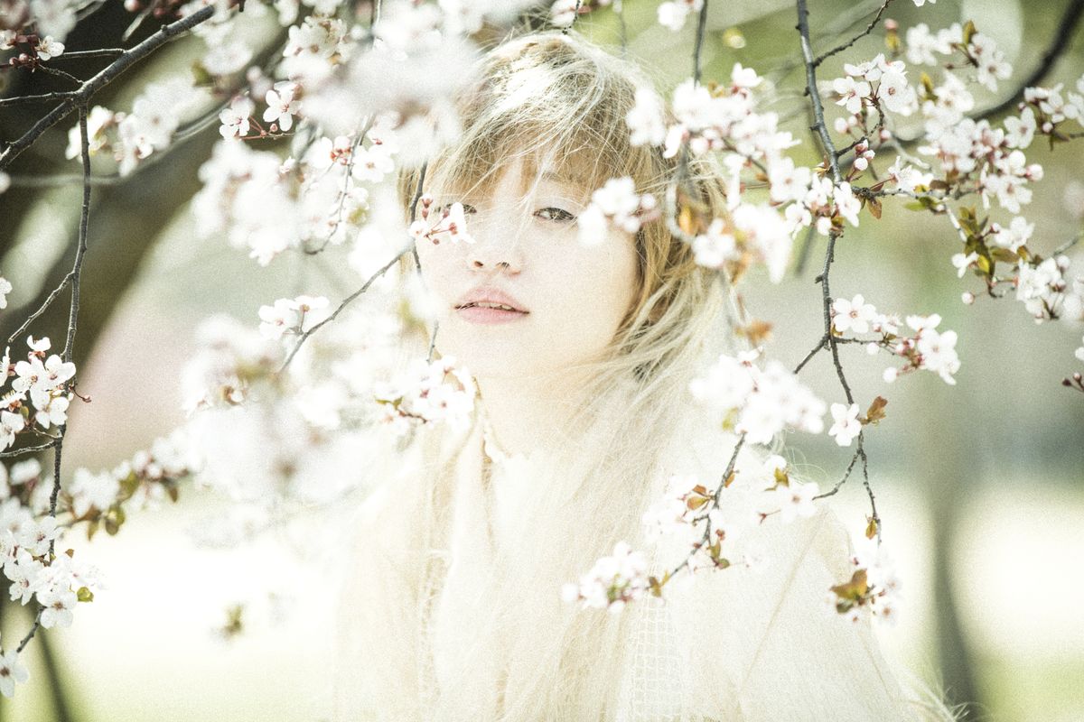 作品撮りのポートレート